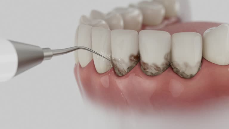 Reliable Dental contractor in McKinley, PA by Dentist Open Now